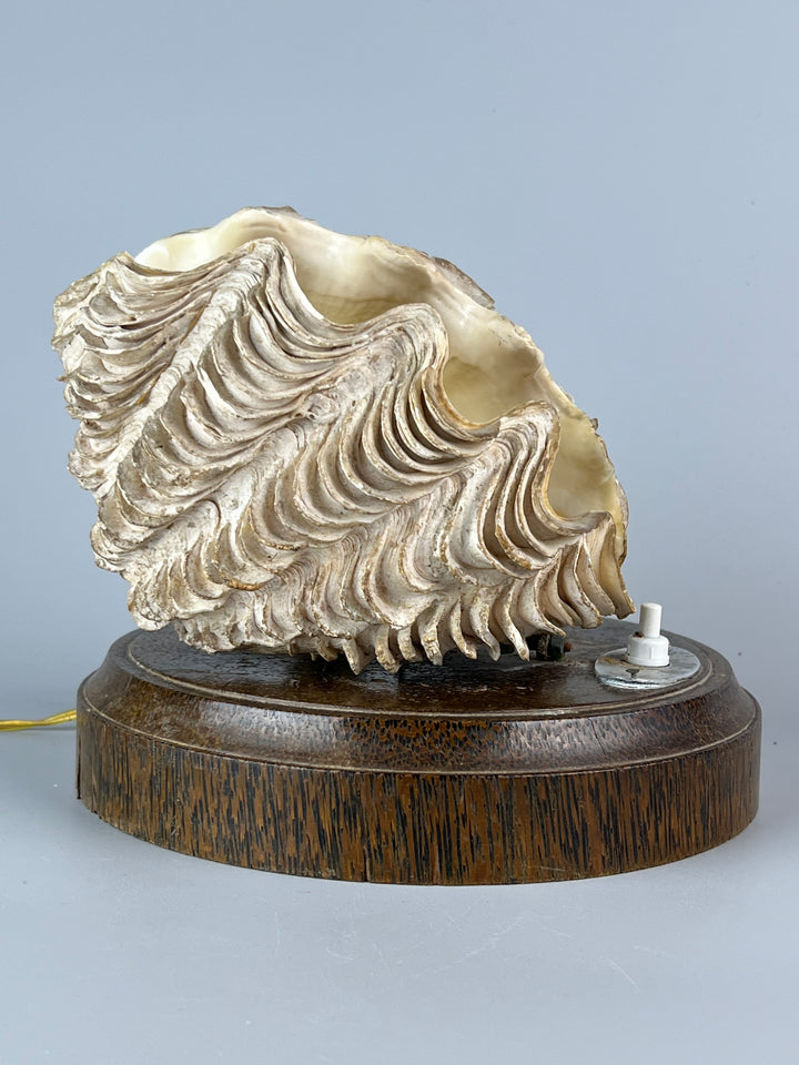 Lampada conchiglia base in legno