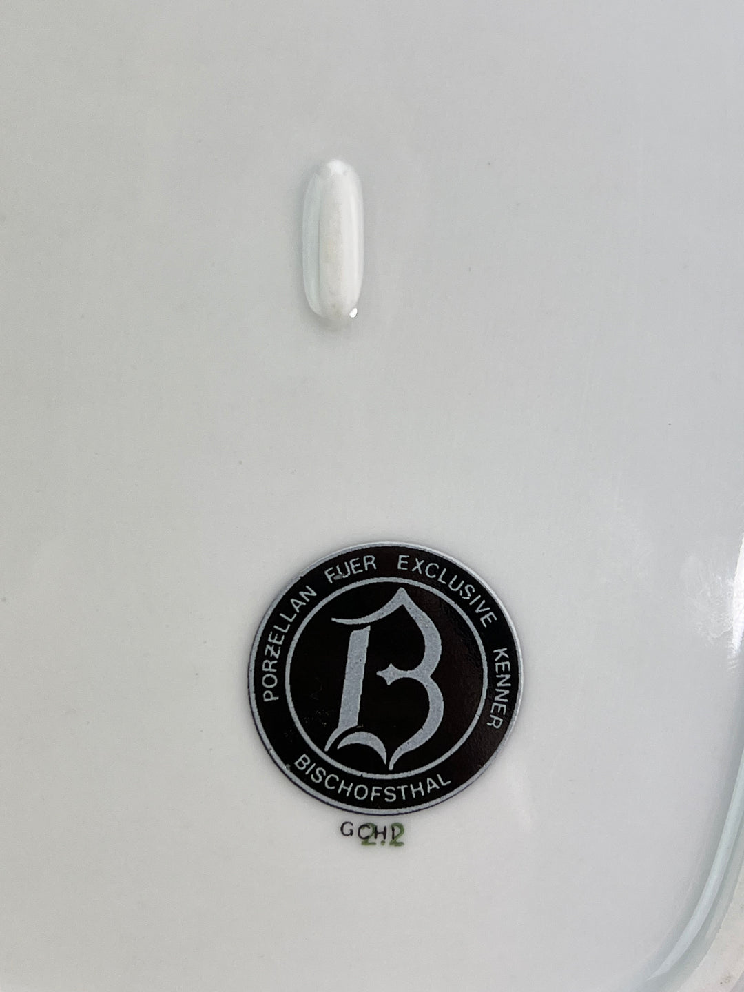 Servizio da tavola per 12 persone Bischofsthal Bavaria decorata in oro