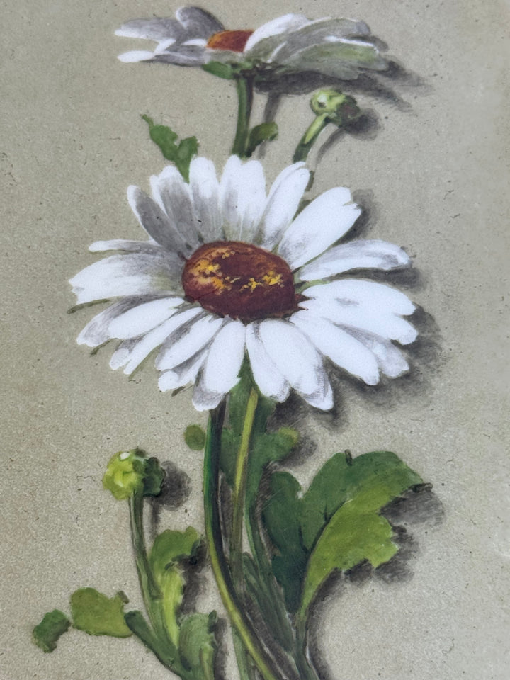Vassoio in porcellana Hutschenreuther dipinto a mano decoro margherita