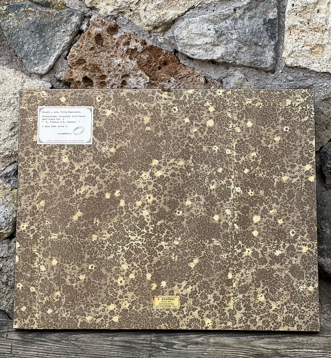 Cromolitografia Antica Napoli Villa Nazionale Zampella con cornice