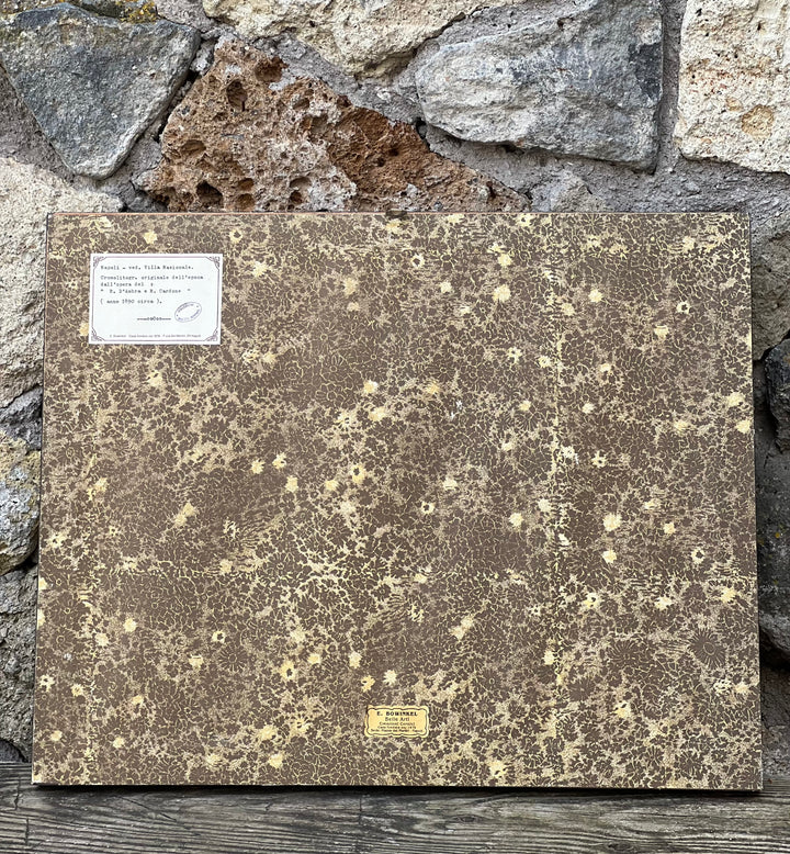 Cromolitografia Antica Napoli Villa Nazionale Zampella con cornice