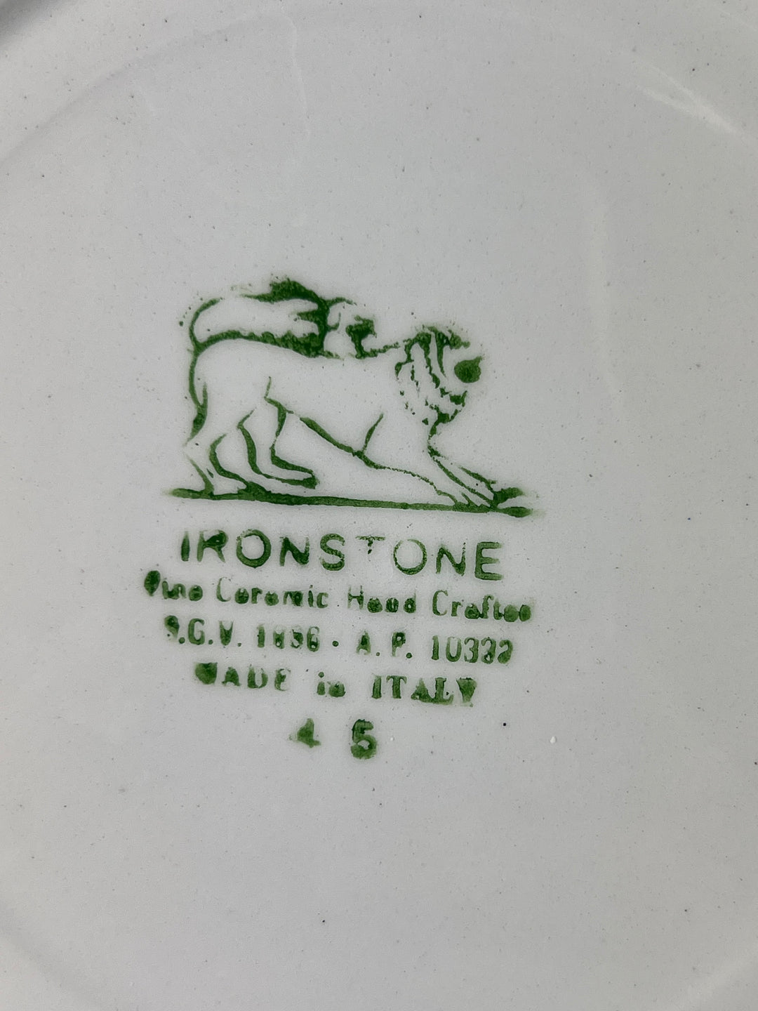 Set dodici piatti fondi ceramica Ironstone