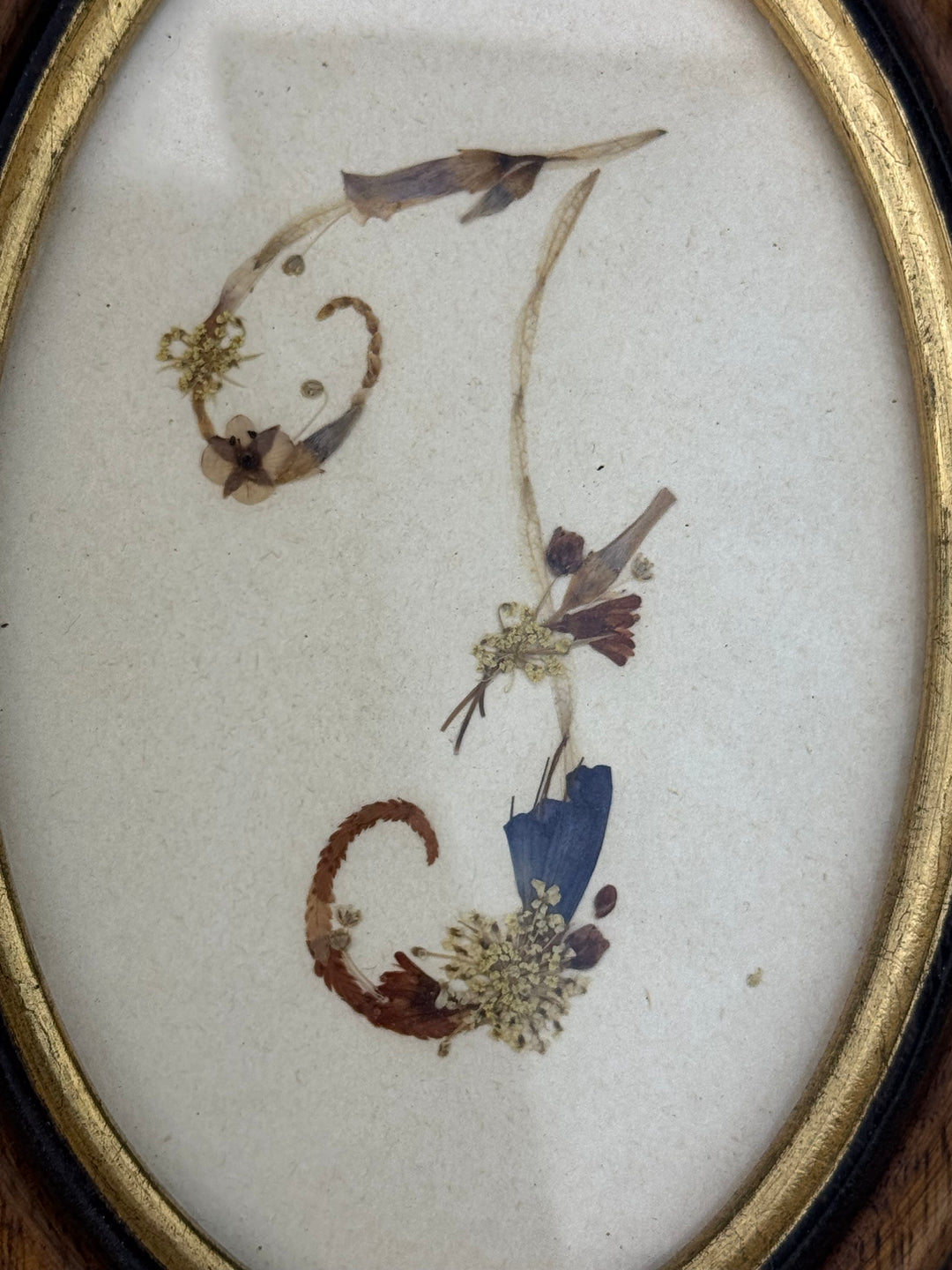 Quadretto ovale con iniziale “F” realizzata con fiori secchi pressati