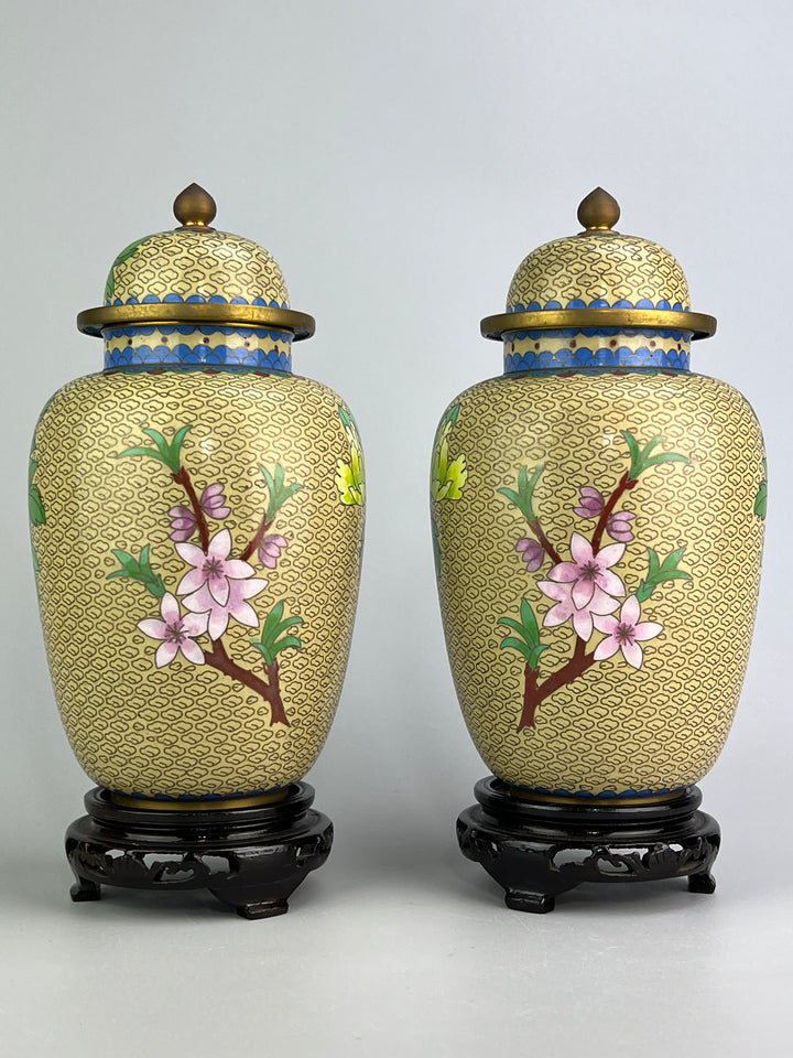 Coppia di vasi cinesi cloisonné con coperchio e base in legno