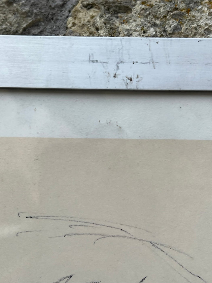 Litografia Ritratto Espressivo Ernesto Treccani