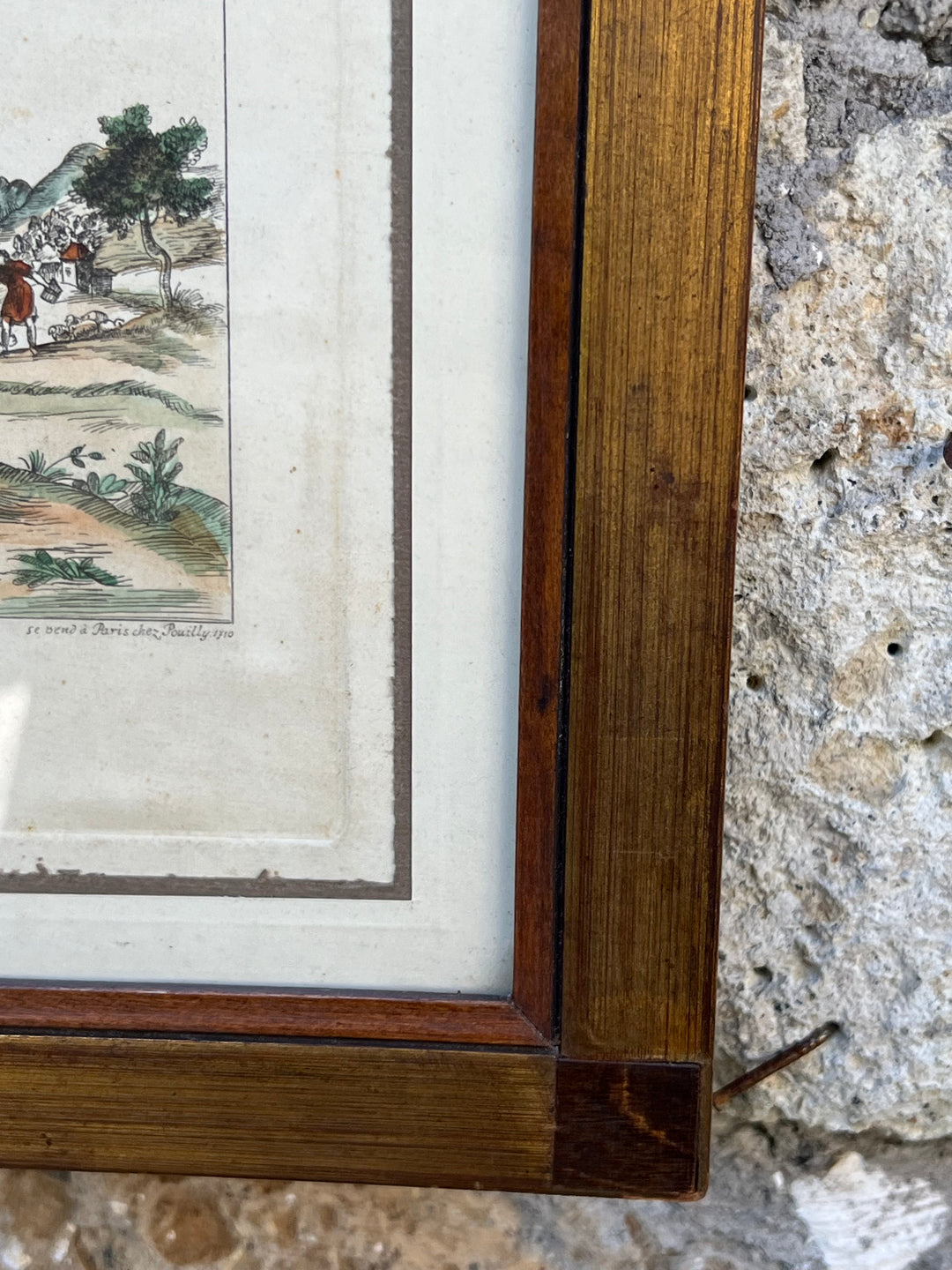 Stampa antica raffigurante un picchio con cornice in legno