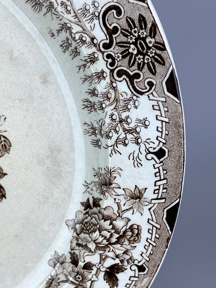 Servizio di piatti vintage SCR “Colandine” da 12 persone