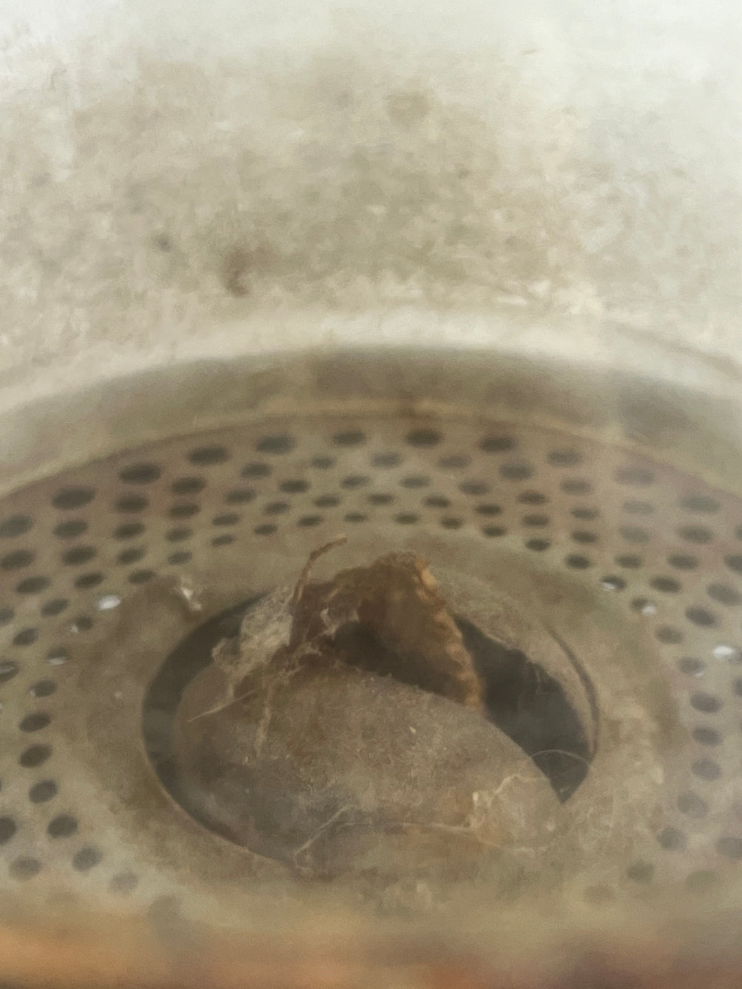 Lanterna a petrolio Feuerhand N. 201 Germania inizi ‘900