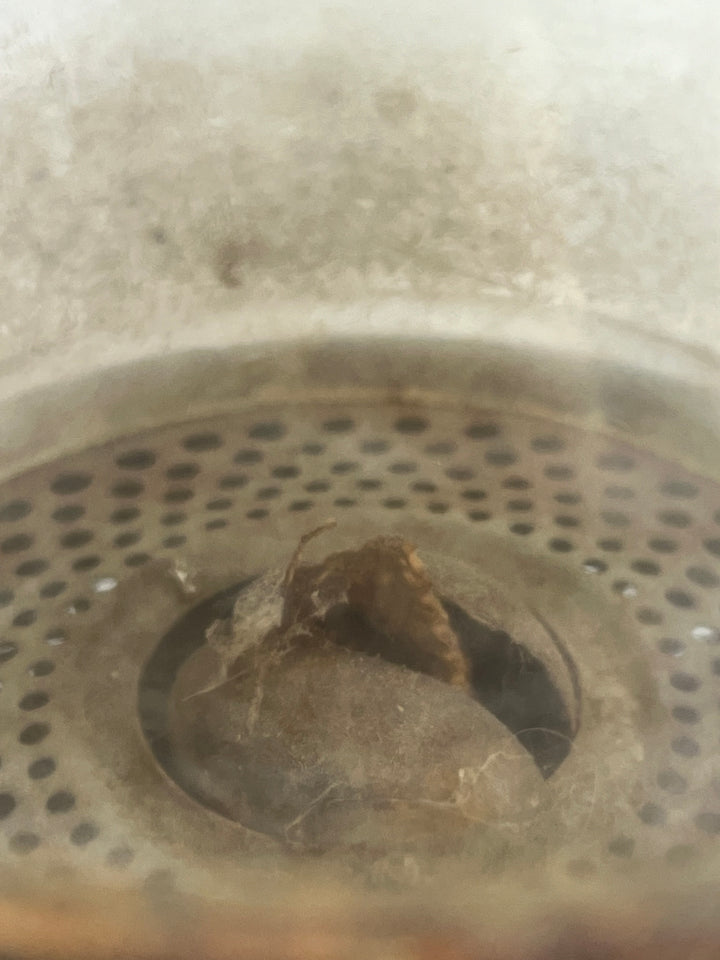 Lanterna a petrolio Feuerhand N. 201 Germania inizi ‘900