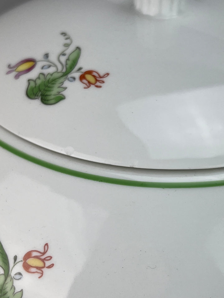 Servizio Piatti per 24 Persone – Richard Ginori, Decoro Fruttato con Bordo Verde
