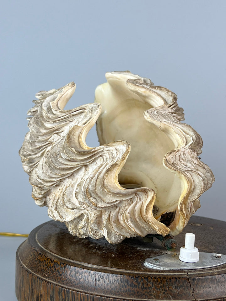 Lampada conchiglia base in legno