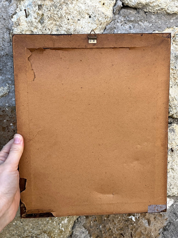 Stampa antica raffigurante un picchio con cornice in legno