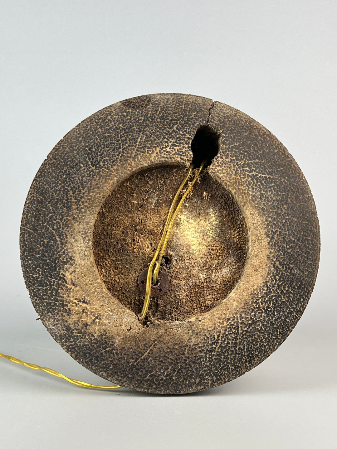 Lampada conchiglia base in legno