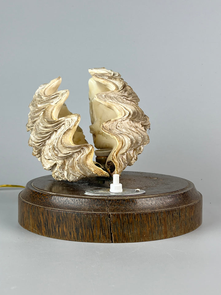 Lampada conchiglia base in legno
