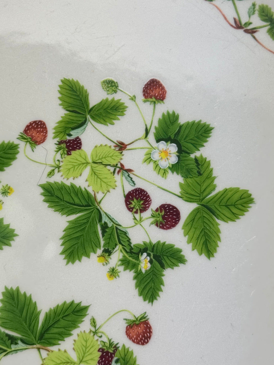 Pirofila in ceramica vintage Portmeirion con decoro fragoline di bosco