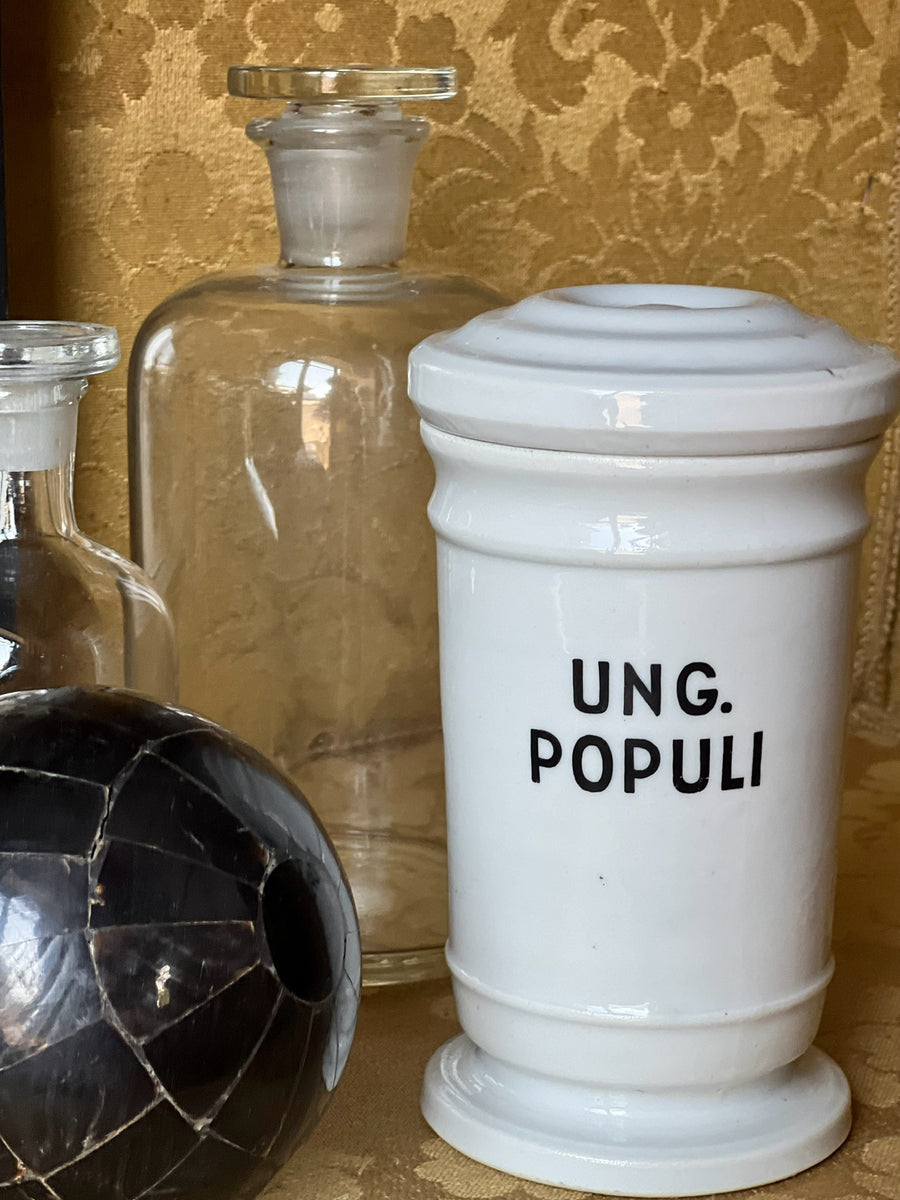 Barattolo da farmacia in porcellana con scritta "Ung. Populi".

Perfetto per inserire un elemento vintage all'interno di qualsiasi ambiente.

Misure 17x9,5 cm
