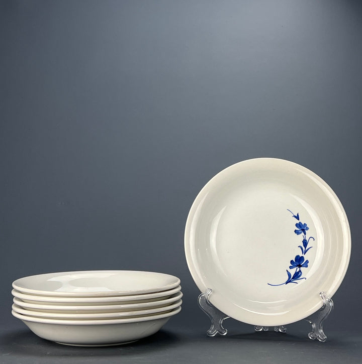 Set dodici piatti fondi ceramica Ironstone