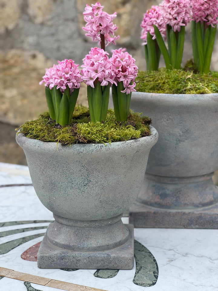 Cachepot decorativi grigi in terracotta dipinta