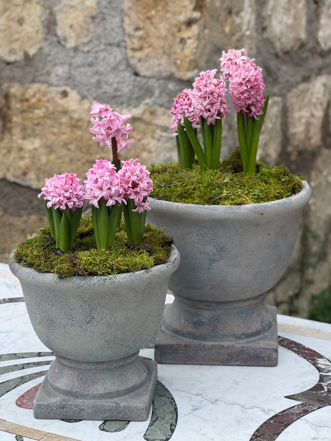 Coppia di cachepot grigi in terracotta con piante e fiori rosa su tavolo da esterno