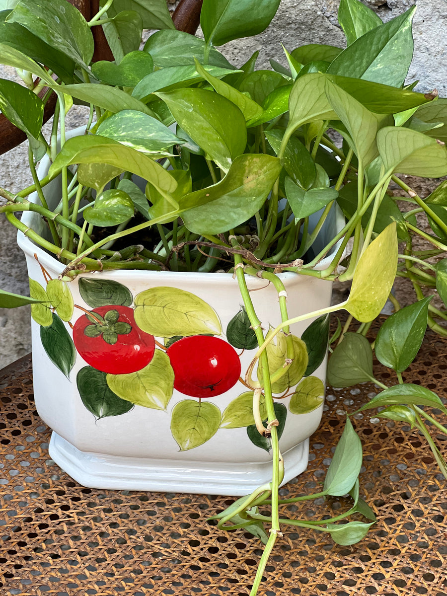 Cachepot in ceramica bianca con decorazione pomodori rossi e foglie verdi – Ceramica d’Este