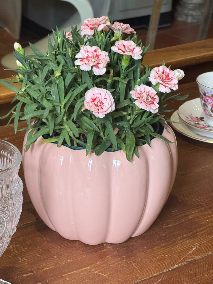Cachepot vintage in ceramica rosa lucida con forma scanalata bombata