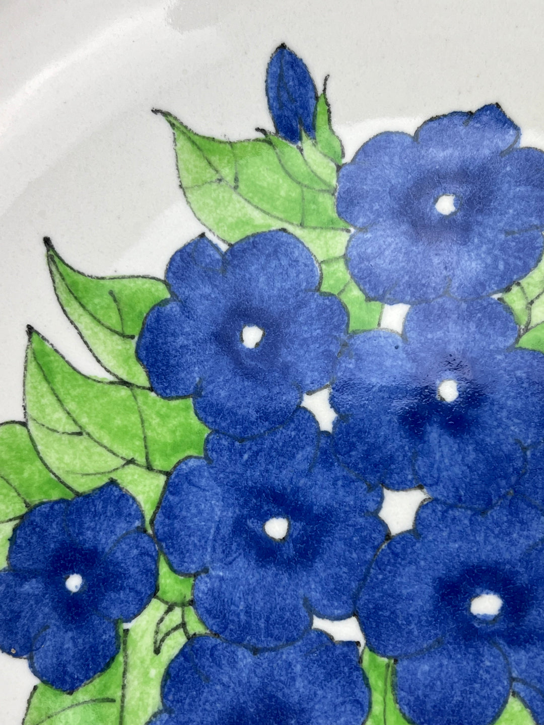 Servizio di Piatti per 8 Persone Ernestine Salerno – Decoro Floreale Blu