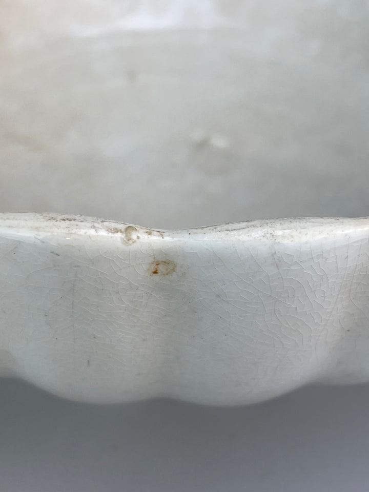 Ciotola in ceramica bianca SCR