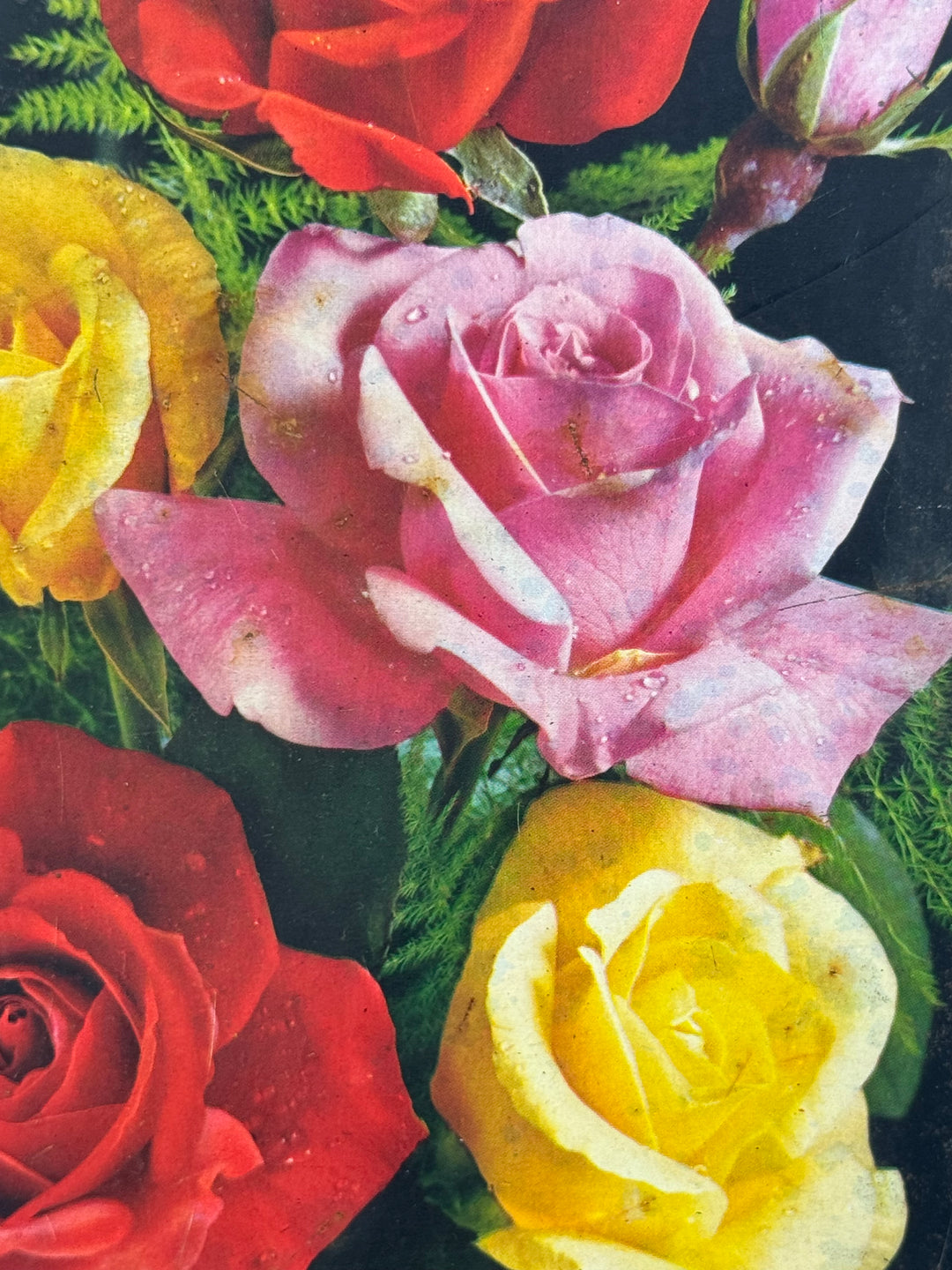 Scatola di latta vintage per torrone Rose e decori floreali dorati