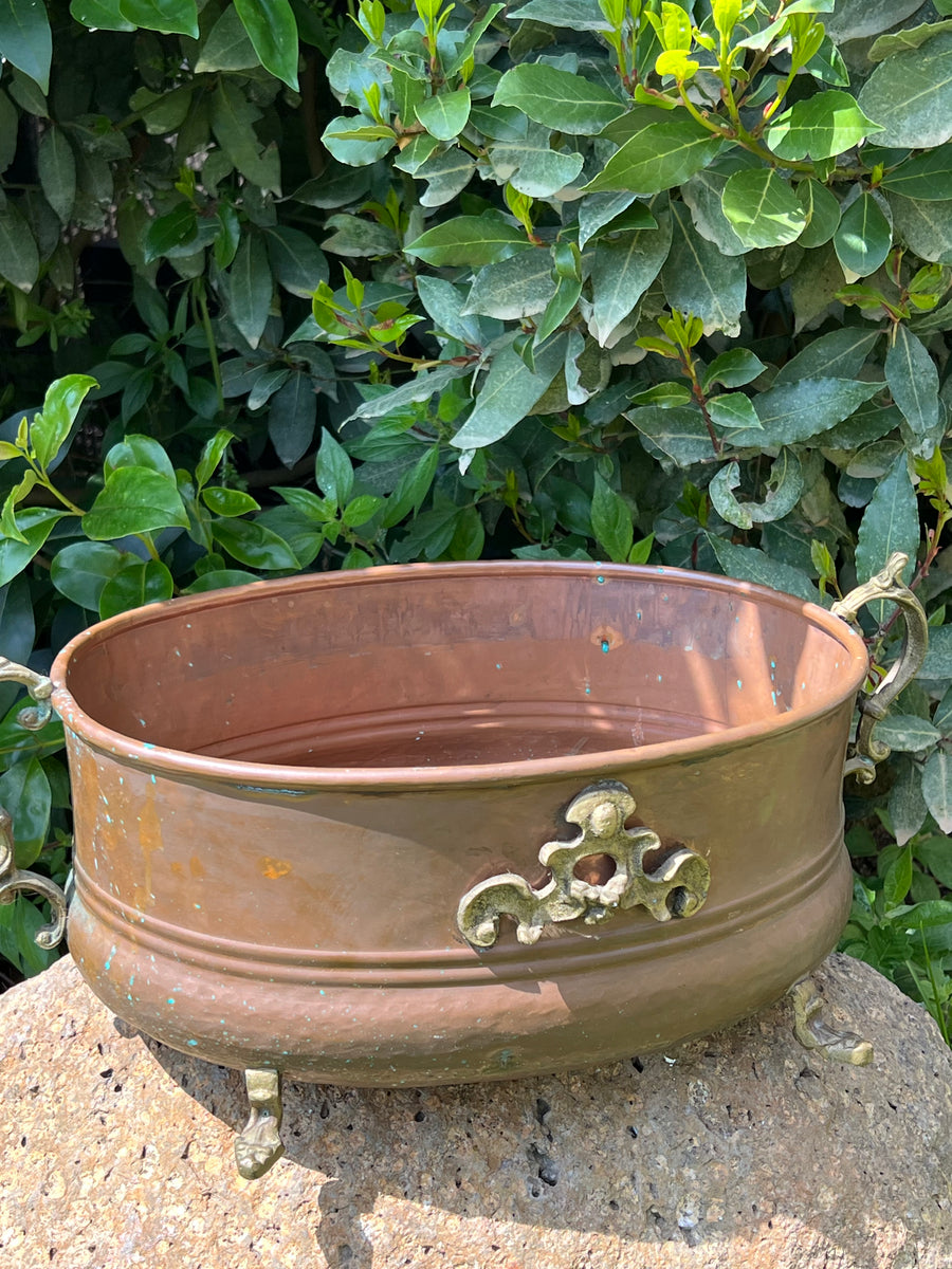 Fioriera in rame dalla forma ovale con manici e piedini in ottone lavorato perfetta per dare un tocco di fascino vintage a qualsiasi ambiente.

Buono stato generale con una naturale patina del tempo che ne esalta il carattere antico, ideale come centrotavola, portavasi o elemento decorativo per interni ed esterni.

Misure 45x27x18h cm
