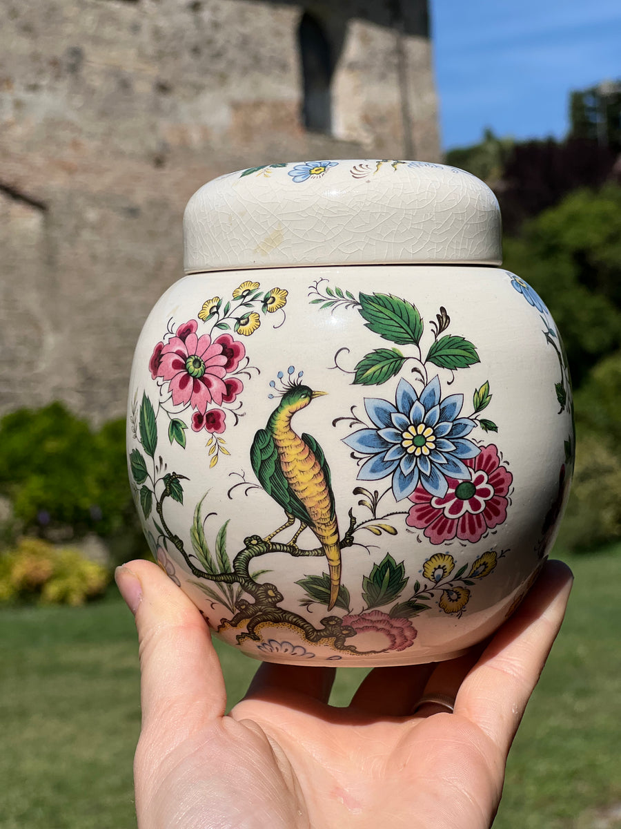 Splendido Ginger Jar realizzato dal marchio inglese Sadler con decoro floreale e pavone centrale.  Da aggiungere alla vostra collezione o da utilizzare all'interno della vostra cucina come portaspezie.  Diametro 10 cm Altezza 12 cm
