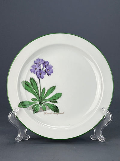 Piatto porcellana fiori Seltmann Weiden