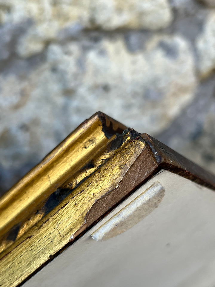 Quadro olio su tela con cornice dorata intagliata