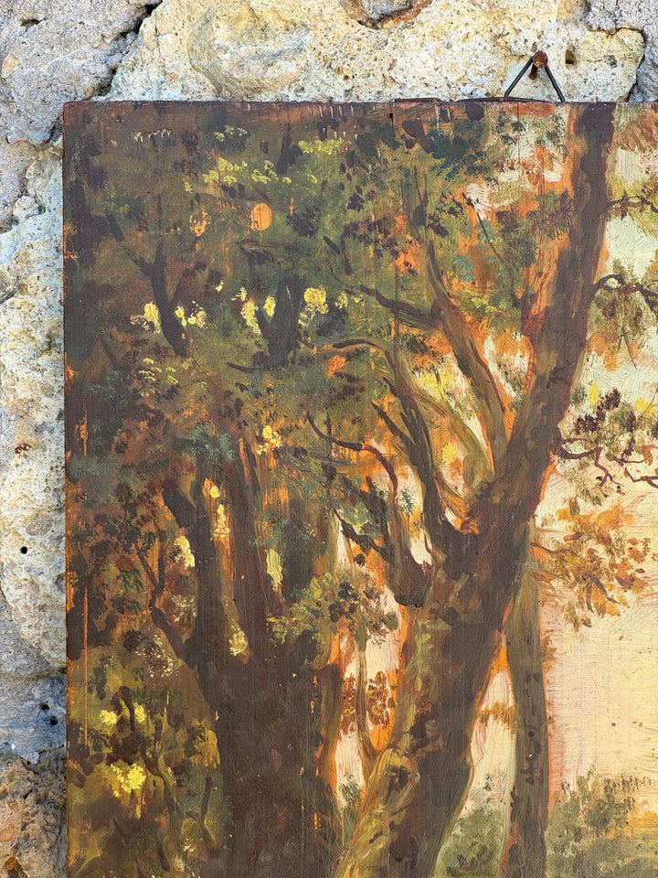 Quadro Antico Olio su Tavola Firmato Brancaccio 1887