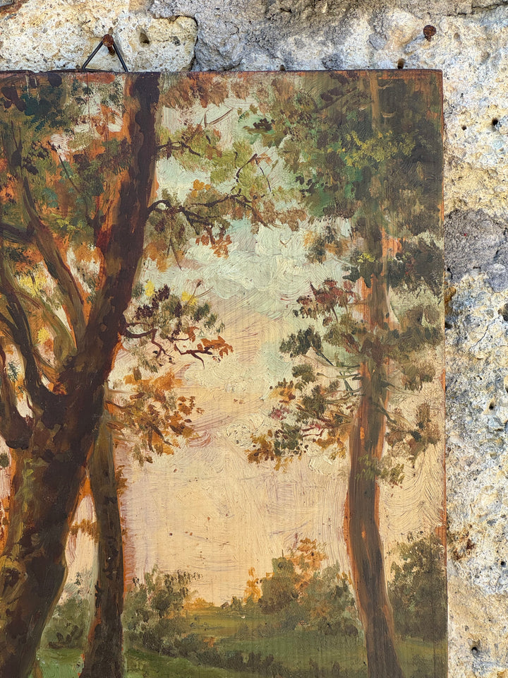 Quadro Antico Olio su Tavola Firmato Brancaccio 1887