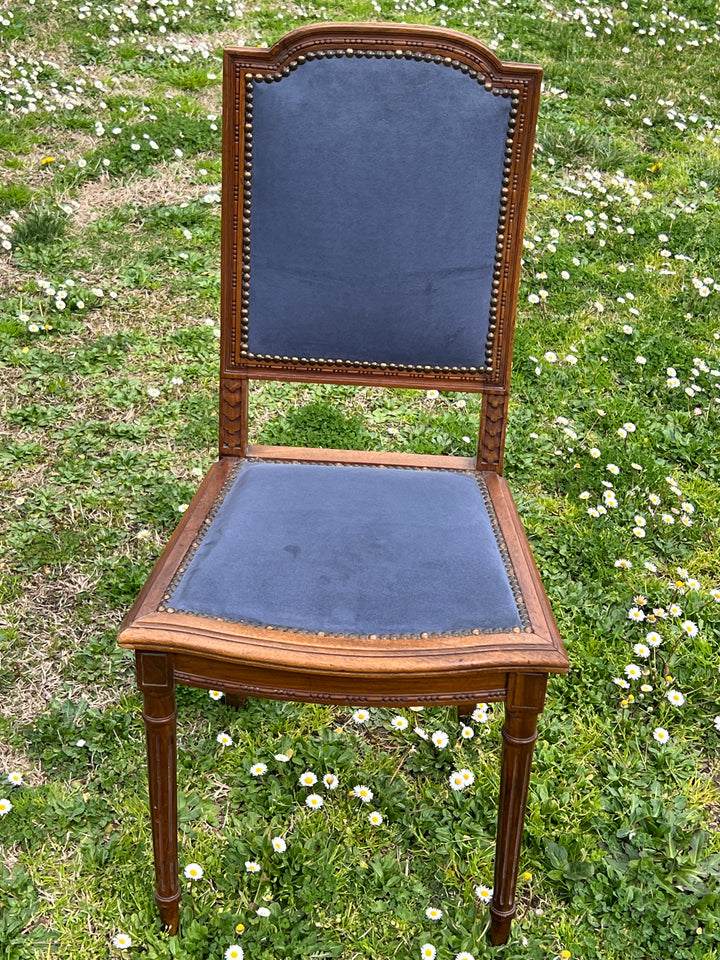 Set sei sedie stile Luigi XVI velluto blu metà Novecento