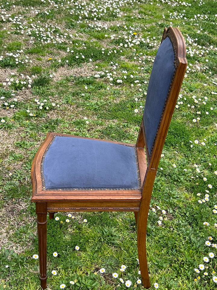 Set sei sedie stile Luigi XVI velluto blu metà Novecento