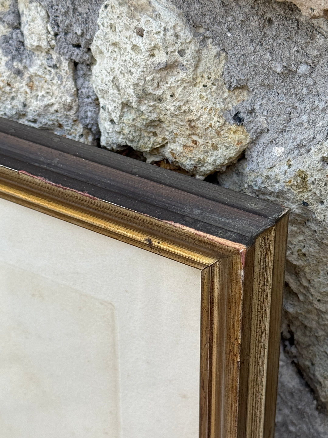 Set di 4 incisioni naturalistiche con uccelli esotici Barraband