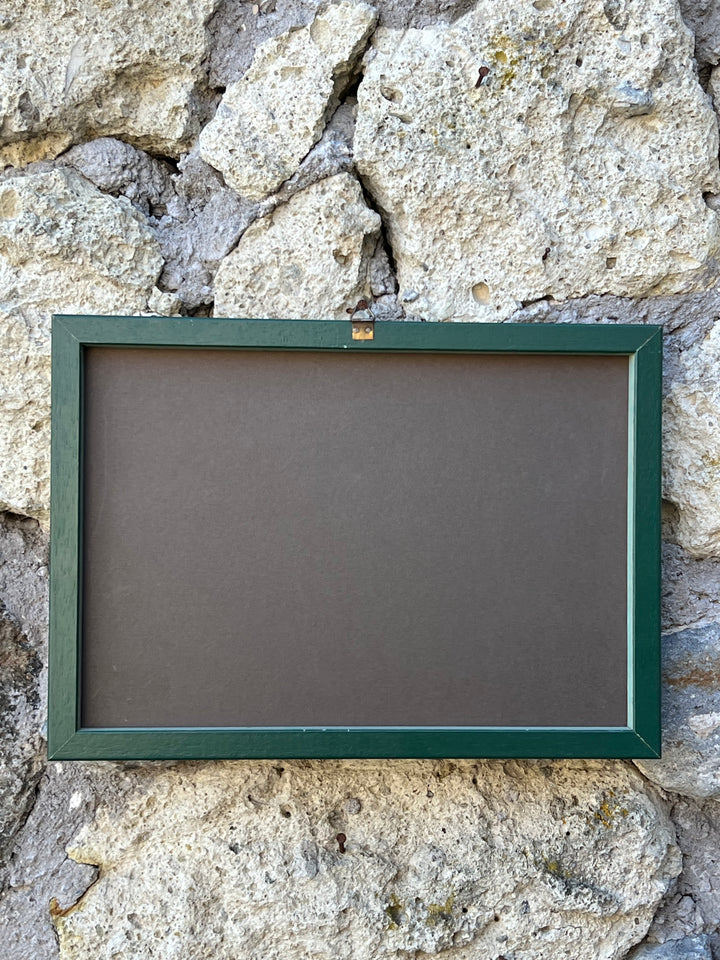Quadro con Studio Botanico Acquarellato – Viole del Pensiero, Disegno a Mano