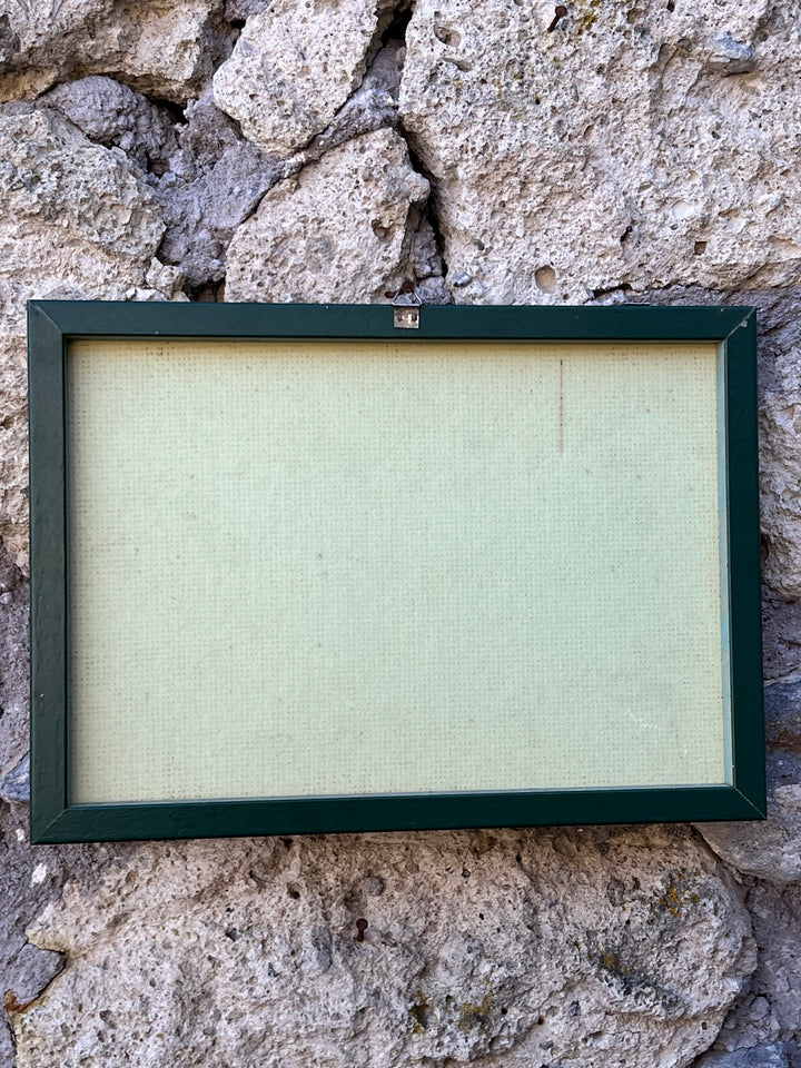 Disegno Acquarellato di Viole – Studio Botanico su Carta Antica