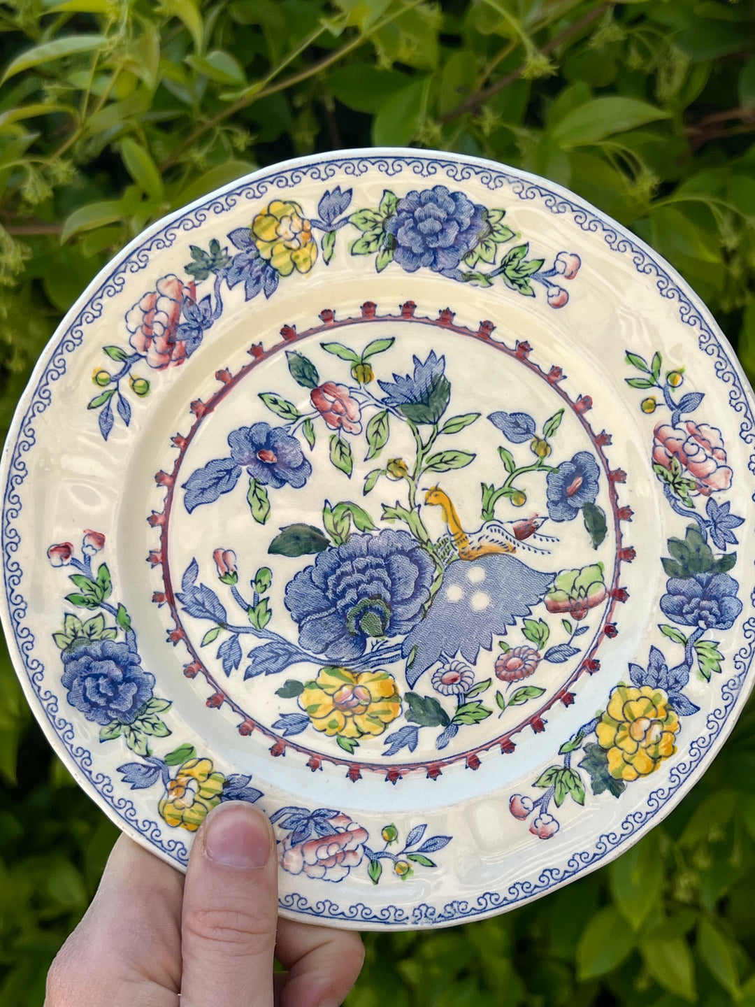 Piattino in ceramica Mason’s Made in England con elegante decoro "regency".  Misure 17 cm