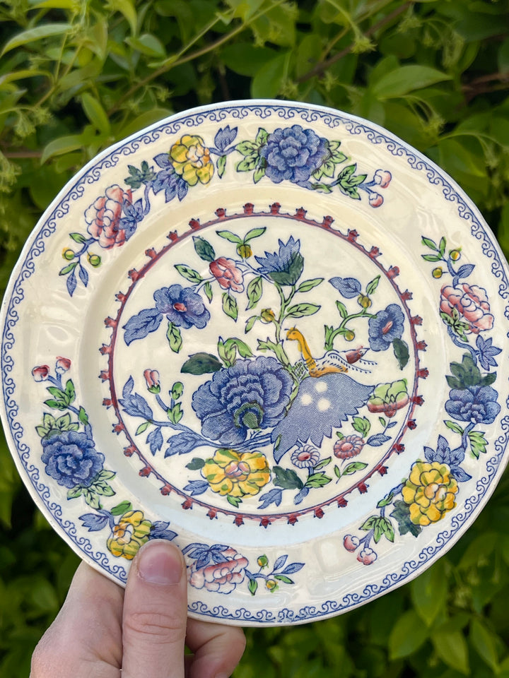 Piattino in ceramica Mason’s Made in England con elegante decoro "regency".  Misure 17 cm