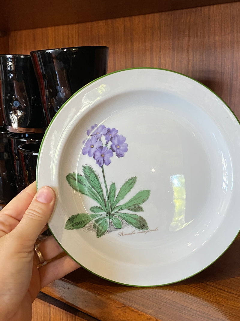 Piattino in porcellana con decoro floreale raffigurante una Primula marginale della Seltmann Weiden Germany.