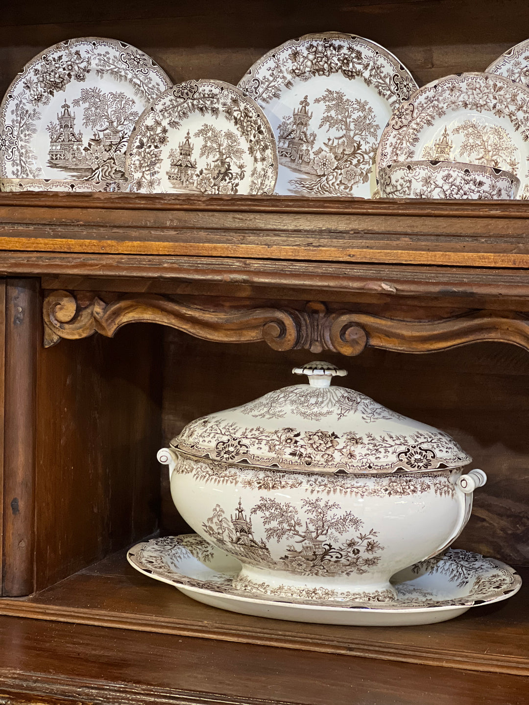 Servizio di piatti vintage SCR Colandine in porcellana con decoro marrone seppia, completo di zuppiera