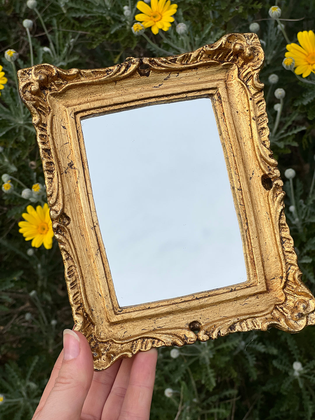 Specchietto di misure 17x19 cm, di ispirazione barocca con cornice intagliata e dorata a foglia oro. Su tutta la cornice è presente un elaborato motivo a rilievo.

Con una maestria che trascende il tempo, i nostri specchietti sono capolavori realizzati a mano che catturano l'essenza dell'eleganza barocca. Ogni cornice, finemente scolpita e rifinita con foglia d'oro, è frutto di tecniche di antichizzazione che regalano un'anima vissuta e senza tempo ad ogni pezzo.