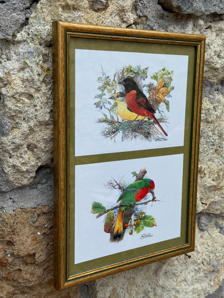 Stampe ornitologiche vintage con cornice dorata