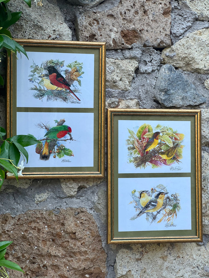 Stampa decorativa con uccelli tropicali colorati incorniciata in elegante cornice dorata.