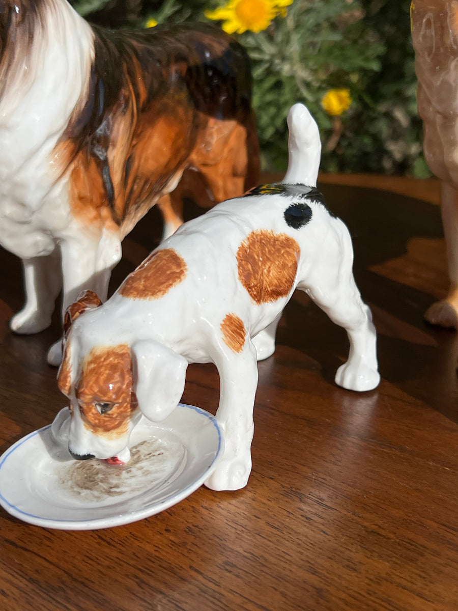 <p>Statuetta in porcellana cane Jake Russell Terrier con piatto del marchio Royal Doulton modello <span data-mce-fragment="1">HN 1158.</span></p> <p>Misure 13x7x9 cm</p>