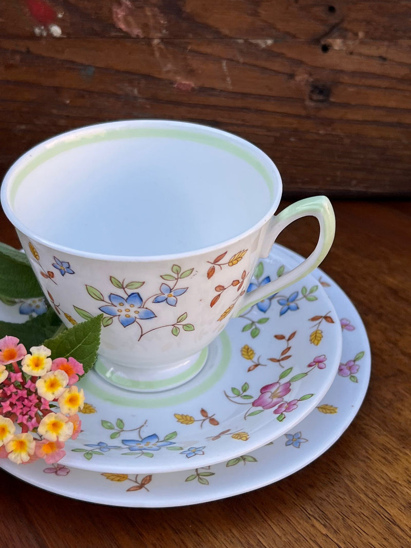 Trio tazza da tè porcellana inglese Royal Albert Minuet