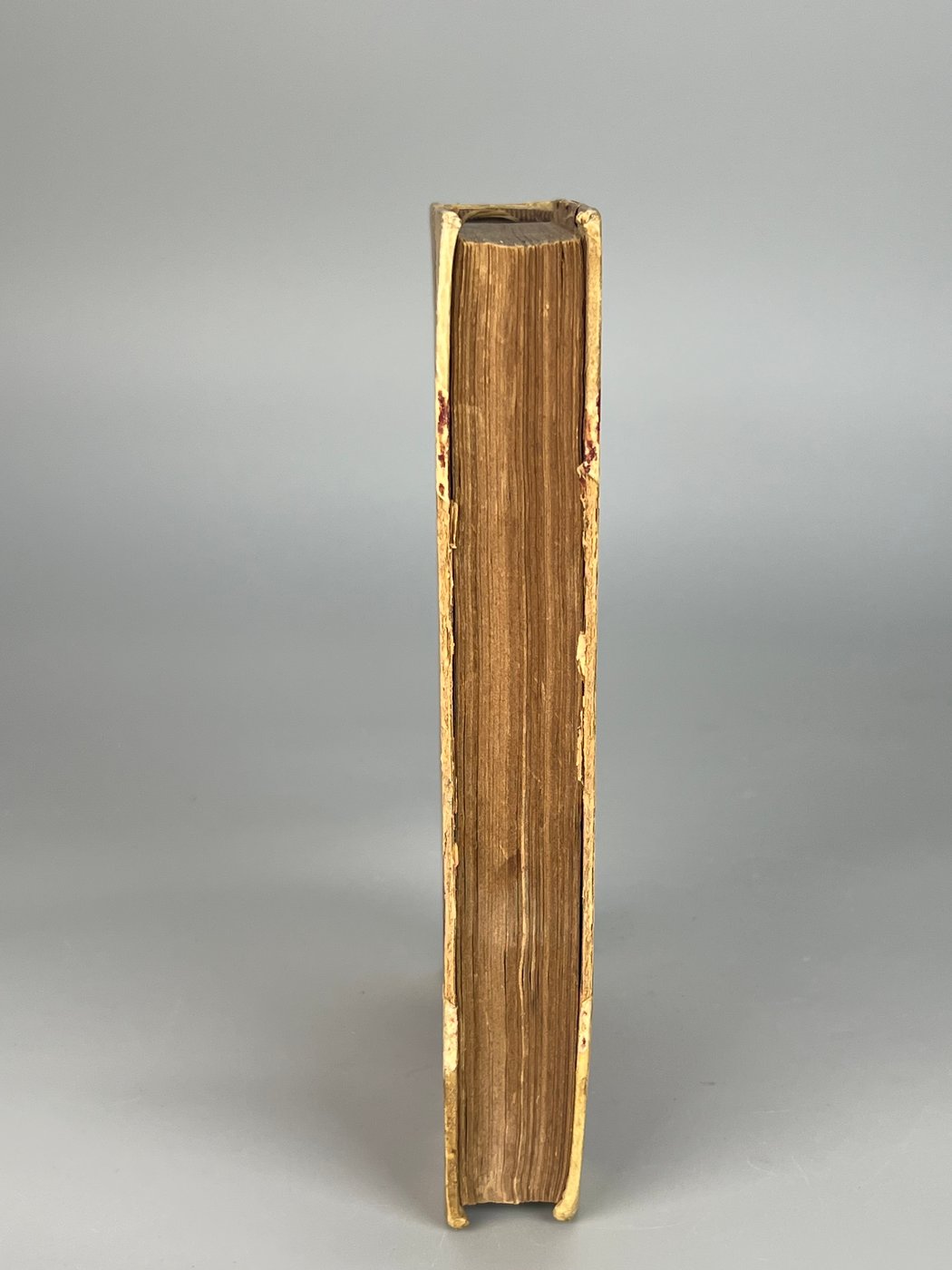 Institutiones Theologiae Dogmaticae – Edizione del 1888, Alberto da Bulsano