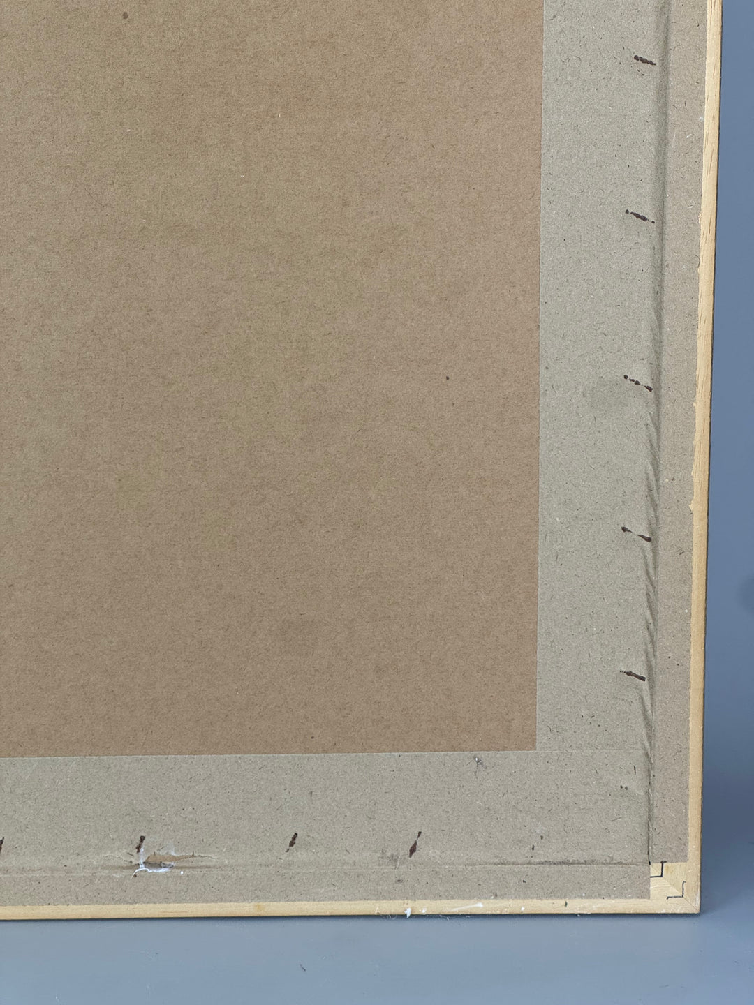 Stampe botaniche 14598 euro 25 misure 54*36